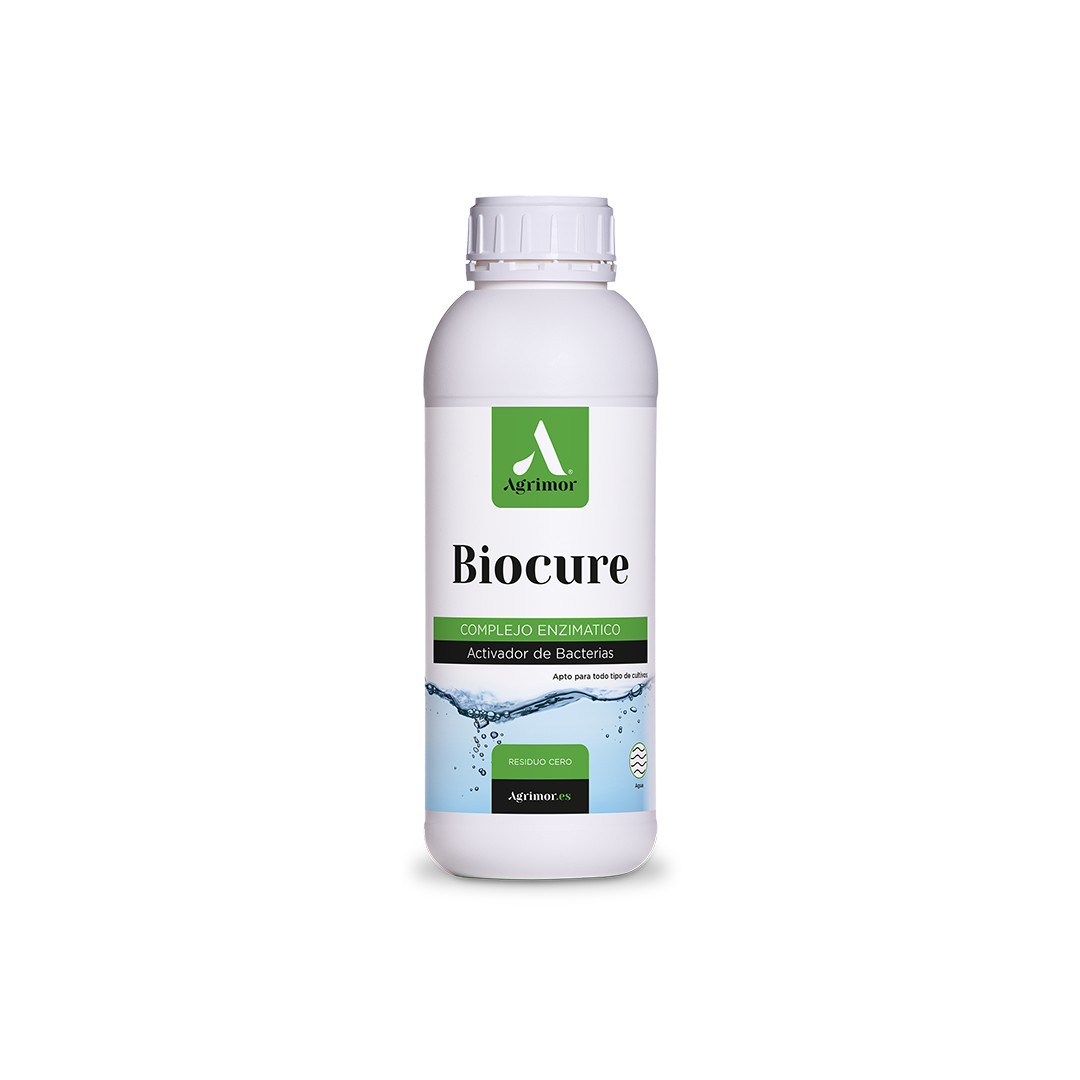 1 L