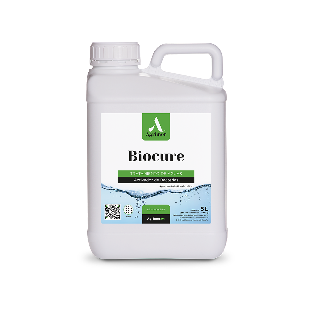 5 L