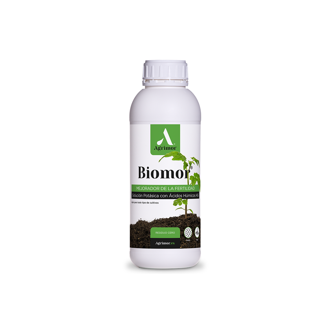 1 L