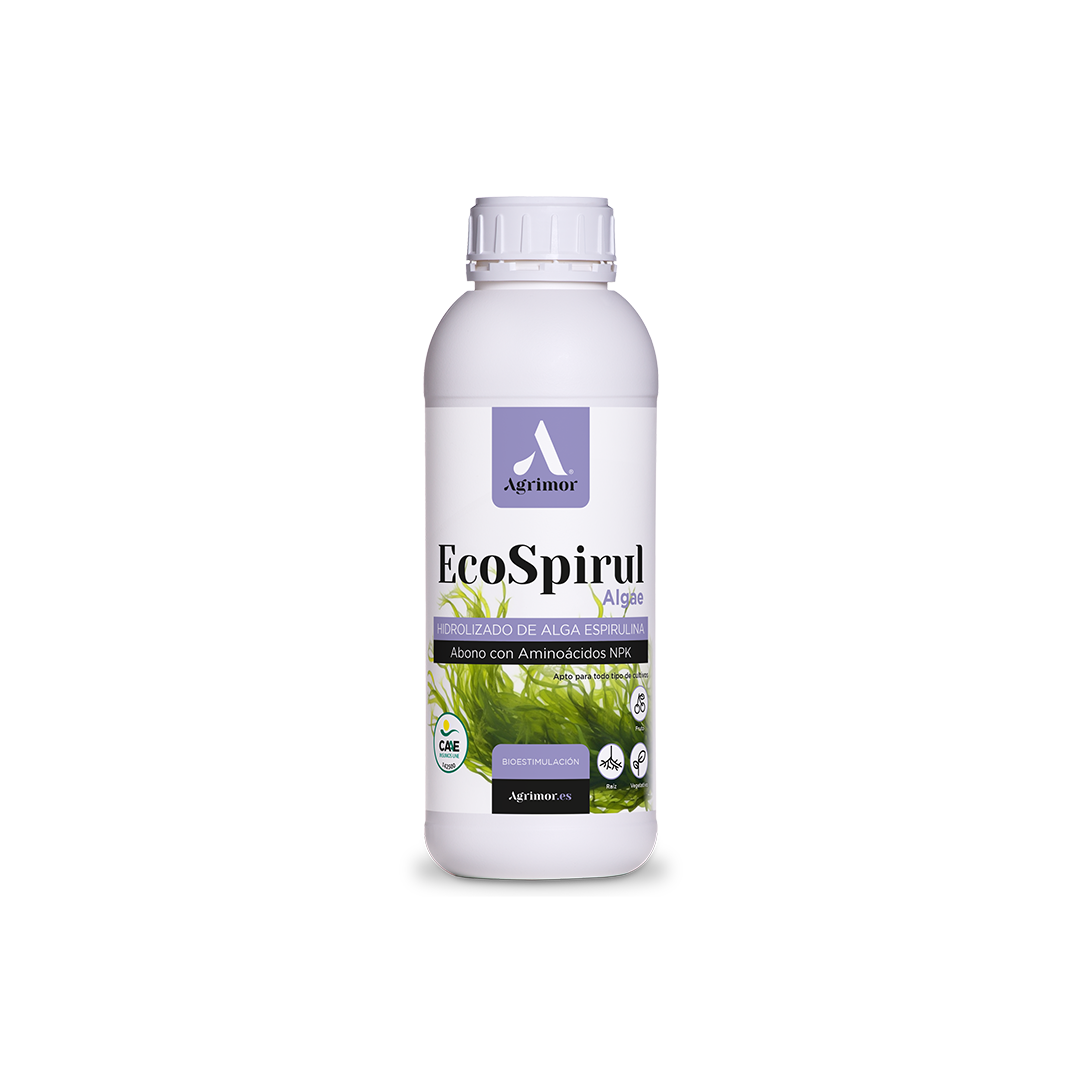 1 L