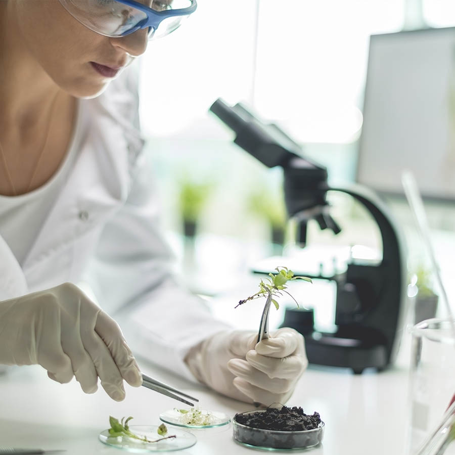 laboratorios-id-zenagro