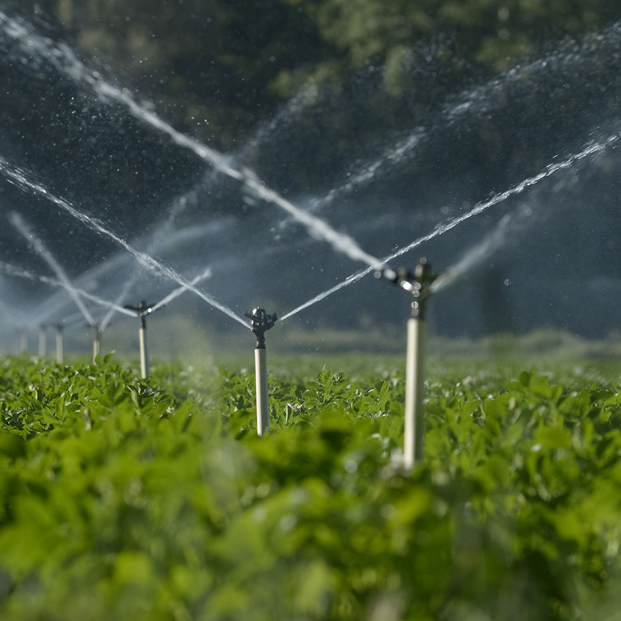 riego-aspersion-agricultura-aire-libre-zenagro.jpg