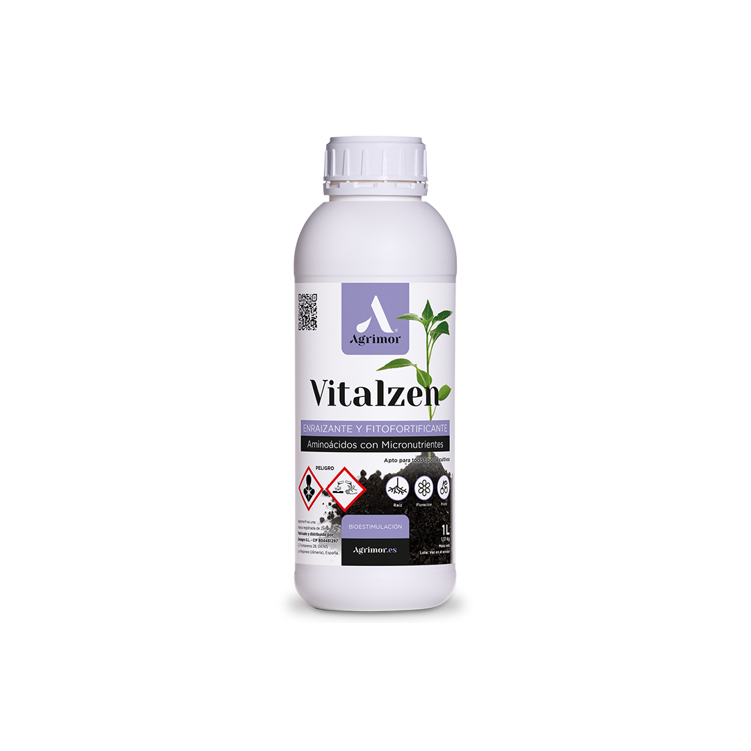 1 L