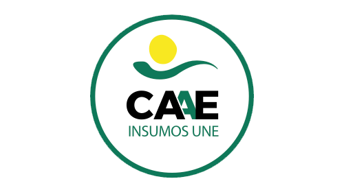 Certificación CAAE