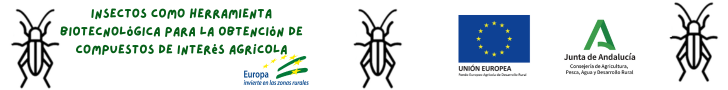 Banner promocional de Agroentool con insectos