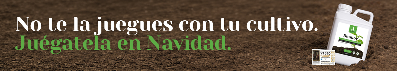 banner-biomor-loteria-2026